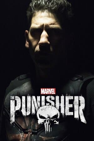 Marvel's The Punisher poster art