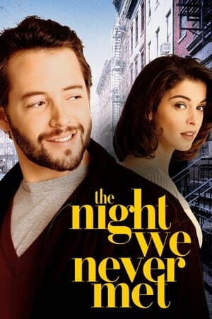 The Night We Never Met poster art