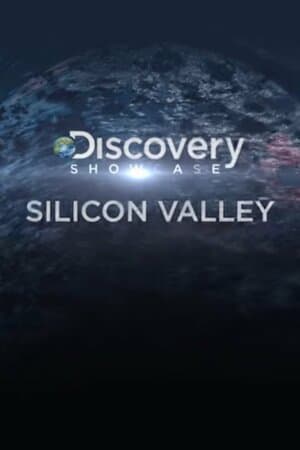 Silicon Valley poster art