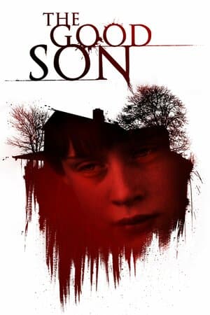 The Good Son poster art