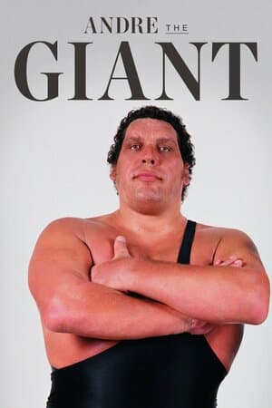 Andre the Giant poster art