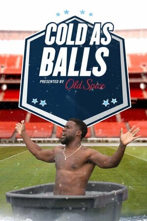 Cold as Balls poster art