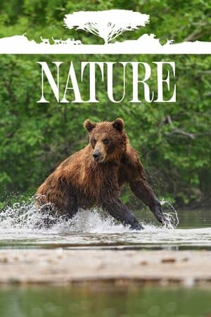 Nature poster art