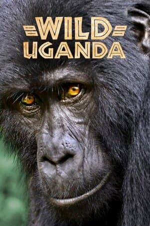 Wild Uganda poster art