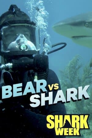 Bear vs. Shark poster art