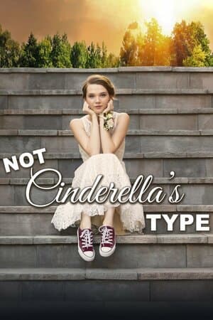 Not Cinderella's Type poster art