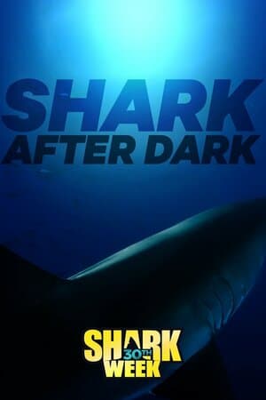 Shark After Dark poster art