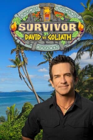 Survivor poster art