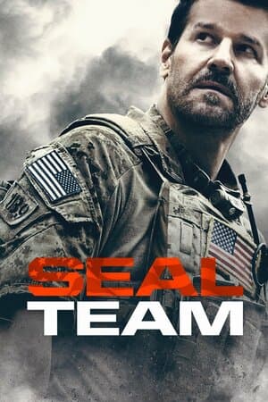 SEAL Team poster art