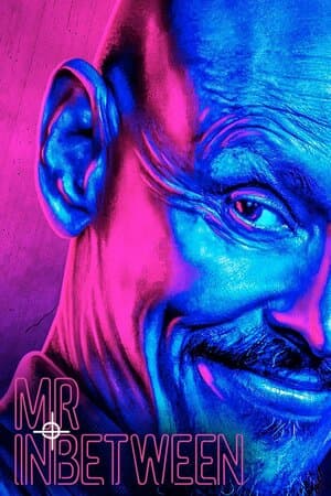 Mr Inbetween poster art