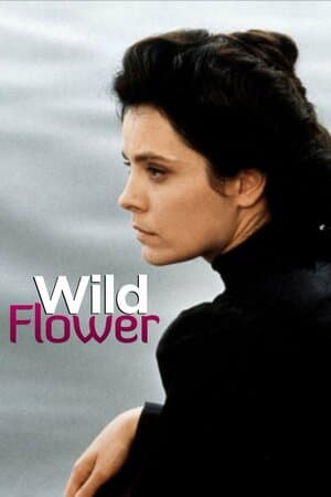 Wild Flower poster art