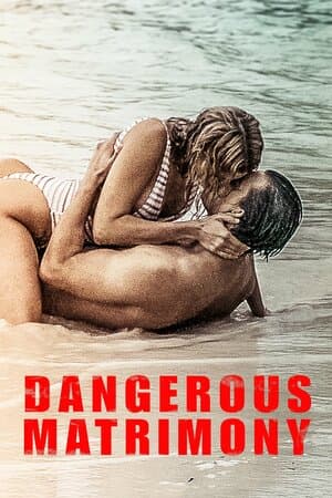 Dangerous Matrimony poster art