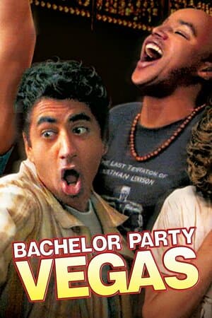 Bachelor Party Vegas poster art