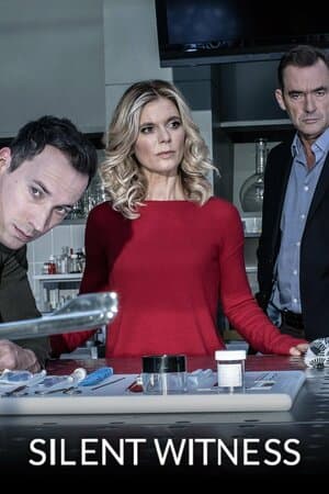 Silent Witness poster art