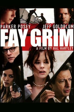 Fay Grim poster art