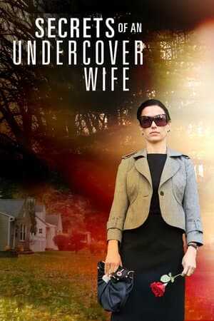 Secrets of an Undercover Wife poster art