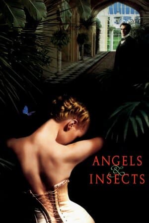 Angels and Insects poster art