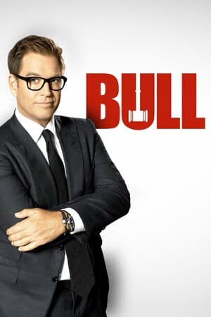 Bull poster art