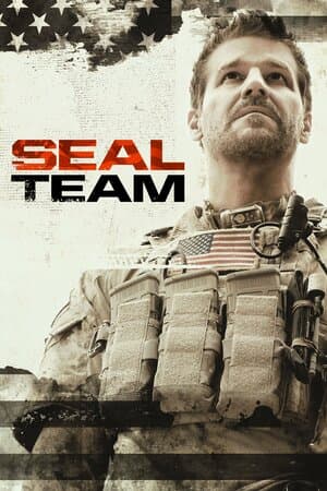 SEAL Team poster art