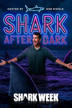 Shark After Dark poster art