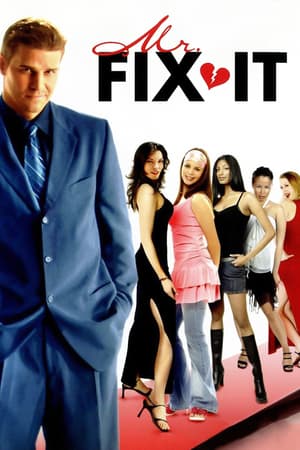 Mr. Fix It poster art