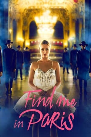 Find Me in Paris poster art