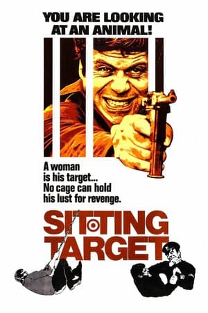 Sitting Target poster art