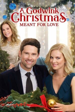A Godwink Christmas: Meant for Love poster art