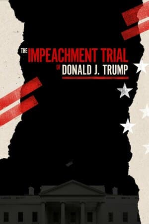 The Impeachment Trial of Donald J. Trump poster art