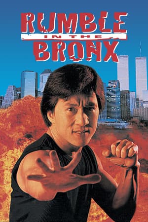 Rumble in the Bronx poster art