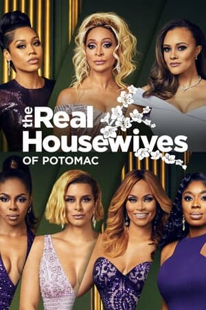 The Real Housewives of Potomac poster art