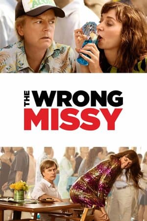 The Wrong Missy poster art