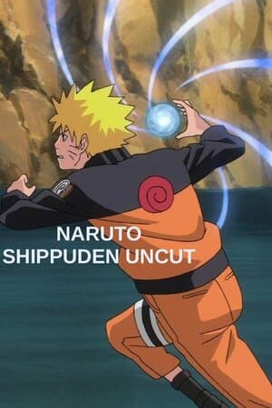 Naruto Shippuden Uncut poster art