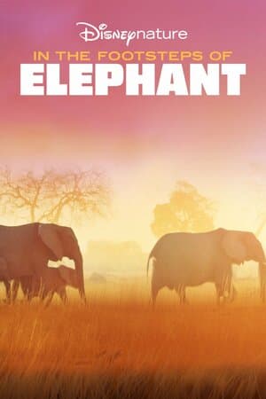 In the Footsteps of Elephant poster art