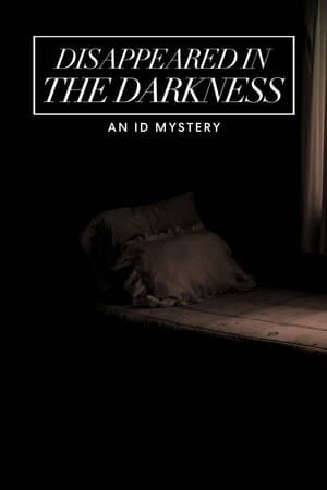 Disappeared in the Darkness: An ID Mystery poster art