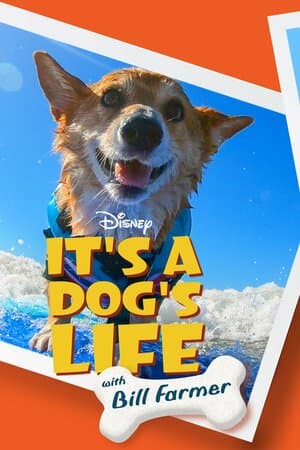 It's a Dog's Life With Bill Farmer poster art