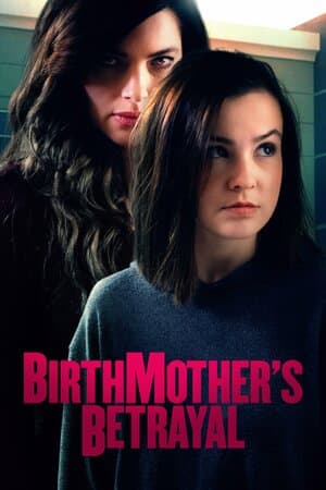 Birthmother's Betrayal poster art