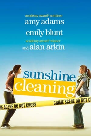 Sunshine Cleaning poster art