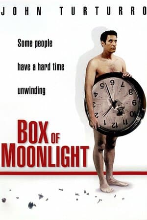 Box of Moonlight poster art