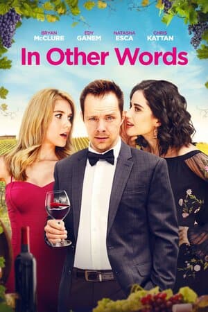 In Other Words poster art