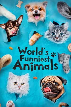 World's Funniest Animals poster art