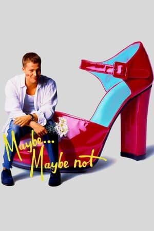 Maybe... Maybe Not poster art