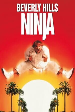 Beverly Hills Ninja poster art