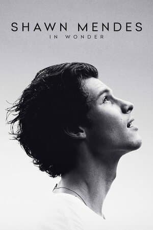 Shawn Mendes: In Wonder poster art