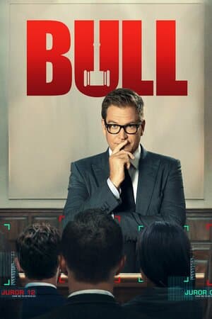 Bull poster art