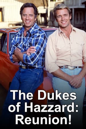 The Dukes of Hazzard: Reunion! poster art