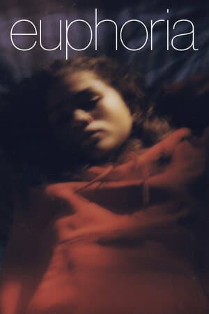 Euphoria: Trouble Don't Last Always poster art