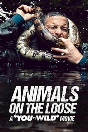 Animals on the Loose: A You vs. Wild Movie poster art