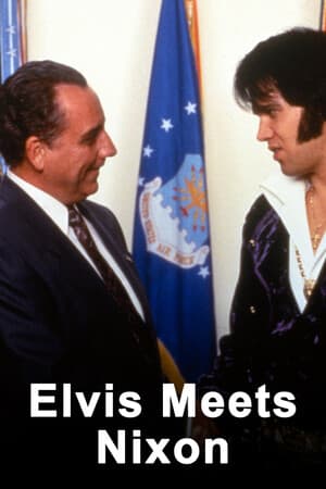 Elvis Meets Nixon poster art