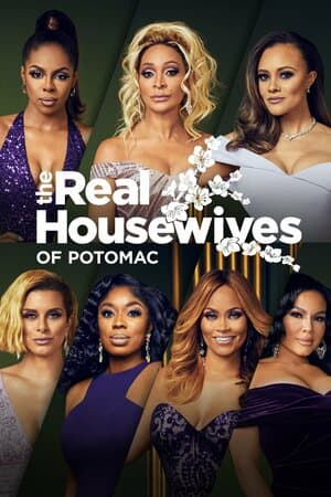 The Real Housewives of Potomac poster art